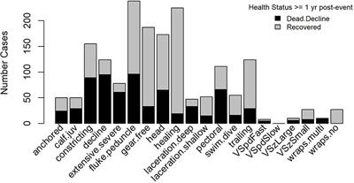 Risk Assessment of Whale Entanglement and Vessel Strike Injuries From Case Narratives and Classification Trees